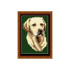 Labrador Tapestry Picture Kit By Brigantia