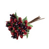 Mixed Berries: 8 Stems by Occasions