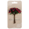 Mixed Berries: 8 Stems by Occasions