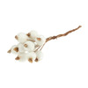 Frosted Snowberries on Wire: 12 Pieces: White