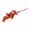 Pepper Berries: 1 Piece: 20cm: Orange