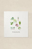 House plants Embroidery Kit by DMC