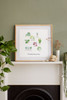 House plants Embroidery Kit by DMC