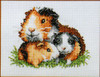 Guinea Pig Cross stitch Kit by Pako