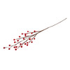 Berry Branch: 1 Piece: Red by Occasions