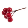 Berries: Medium 15mm: 1 Bunch of 6 Stems: Red by Occasions