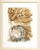 Cat Loving Kitten Cross Stitch Kit by Pako