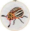 Beetle Cross Stitch Kit by Pako