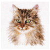 Siberian Cat Counted Cross Stitch Kit By Alisa