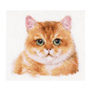 Teddy Cat Counted Cross Stitch Kit By Alisa