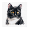 Black Cat Counted Cross Stitch Kit By Alisa
