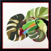 Big Toucan Cross Stitch Kit By Pako