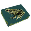 Garden Frog Kneeler Kit by Jacksons