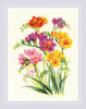 Fragrant Freesia Counted Cross Stitch Kit By Riolis