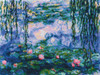 Water Lilies - Monet Counted Cross Stitch Kit by Riolis