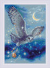 Magic Owl Counted Cross Stitch Kit By Riolis