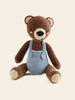Happy Chenille Teddy Bears' Picnic Pattern Book by DMC