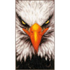 Close Up Eagle Cross Stitch Kit by Lanarte
