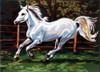 Galloping Horse Tapestry Canvas By Gobelin-L