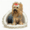 Yorkshire Terrier Counted Cross Stitch Kit By Riolis