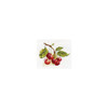 Cherry Counted Cross Stitch Kit by Alisa