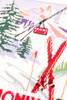 Chamonix Tapestry Canvas only By DMC