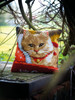 Christmas Cat Cross Stitch Cushion Kit by Vervaco