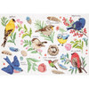 Bird Study Counted Cross Stitch Kit by Design Works