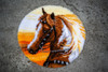 Western Horse Shaped Latch Hook Rug Kit by Vervaco