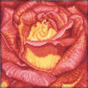 Red Rose Counted Cross Stitch Kit by RTO