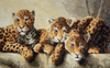 Leopards Cross Stitch Kit by Letistitch
