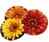 Flower Shaped Latch Hook Rug Kit by Vervaco