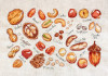 Nuts and Seeds Counted Cross Stitch Kit by Luca-S