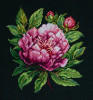 Peter Brand Peony Cross Stitch Kit with Hoop by Luca-S