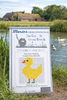 Easy Peasy Duckling Cross Stitch Kit by Fat Cat