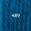 Appletons Tapestry Wool Hank Shade 489