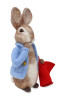 Beatrix Potter - Peter Rabbit and his Pocket Handkerchief Needle Felting Craft Kit