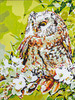 Owl and Gnome Paint-by-Numbers Kit by Vervaco