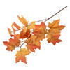 Stem: Autumn Leaves: 55cm by Occasions