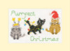 Purrfect Christmas Counted Cross Stitch Kit by Bothy Threads Purrfect Christmas Counted Cross Stitch Kit by Bothy Threads