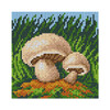 Mushrooms III Tapestry Canvas Only by Orchidea