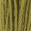 Appletons Crewel Wool Skein Shade 242