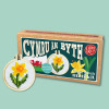 Cymru Am Byth Mini Matchbox Cross Stitch Kit by The Crafty Kit Co.