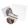 Mini Springer Spaniel Counted Cross Stitch Kit by Trimits