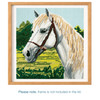 White Horse Large Cross Stitch Kit by Trimits