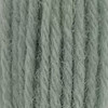 Appletons Crewel Wool Skein Shade 521