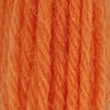 Appletons Crewel Wool Skein Shade 862