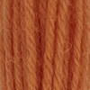Appletons Crewel Wool Skein Shade 854