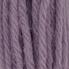 Appletons Crewel Wool Skein Shade 885