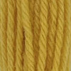 Appletons Crewel Wool Skein Shade 842